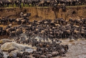 ンゴロンゴロクレーター日帰りツアー（ピクニックランチ付き）