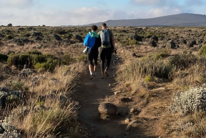 ンゴロンゴロクレーター日帰りツアー（ピクニックランチ付き）