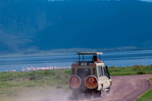 Ngorongoro Crater: Full-Day Safari Tour