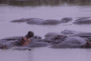 Ngorongoro Crater Full Day Trip