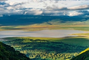 Dagstur til Ngorongoro