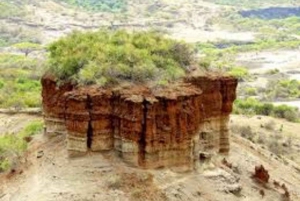 Ngorongoro: unglaubliche Tagestour zur Olduvai-Schlucht