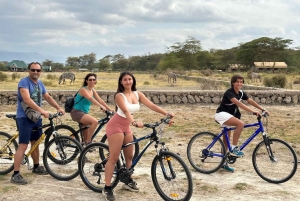 Explora Ngorongoro e Manyara com ciclismo