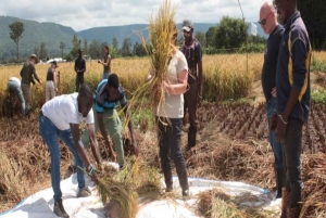Explora Ngorongoro e Manyara com ciclismo