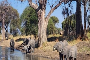 Explora Ngorongoro e Manyara com ciclismo