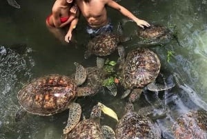 Zanzibar: Swim with turtles at Nungwi