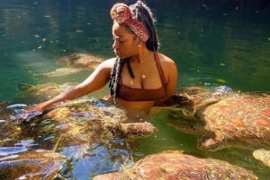 Zanzibar: Swim with turtles at Nungwi