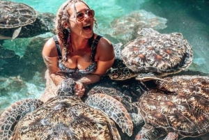 Zanzibar: Swim with turtles at Nungwi
