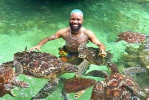 Zanzibar: Swim with turtles at Nungwi