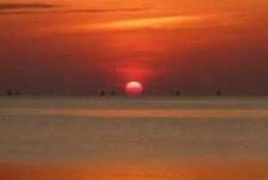 Nungwi Aqurium med solnedgang ved Kendwa Beach (halvdagstur)