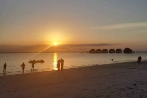 Nungwi Aqurium med solnedgang ved Kendwa Beach (halvdagstur)