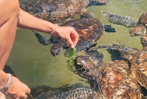 Тюремный остров, песчаная отмель Накупенда и Каменный город: пешая экскурсия