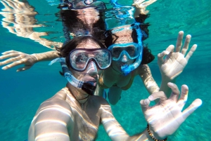 Matemwe: Mnemba Island Dolphin & Snorkeling Boat Tour