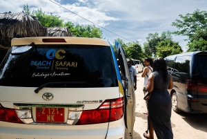 Matemwe: Mnemba Island Dolphin & Snorkeling Boat Tour