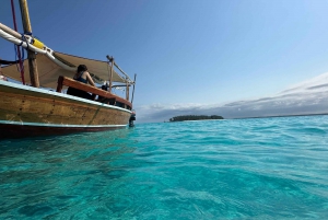 Matemwe: Mnemba Island Dolphin & Snorkeling Boat Tour