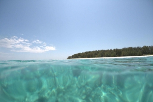 Matemwe: Mnemba Island Dolphin & Snorkeling Boat Tour
