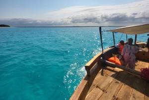 Matemwe: Mnemba Island Dolphin & Snorkeling Boat Tour