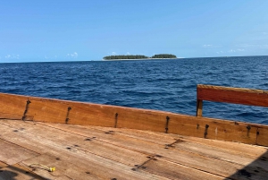 Matemwe: Mnemba Island Dolphin & Snorkeling Boat Tour