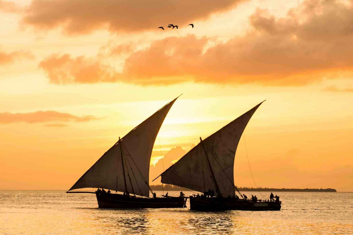 NUNGWI (Kendwa): Sunset Dhow Cruise with Traditional Dance