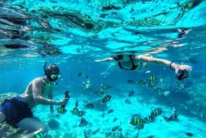 Утренняя экскурсия из Нунгви и Кендвы: остров Тумбату и сноркелинг