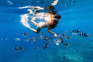 Утренняя экскурсия из Нунгви и Кендвы: остров Тумбату и сноркелинг