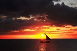 Mnemba Island: Guidet snorkling og delfinsvømning