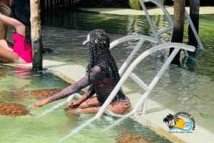 نونجوي السباحة والغطس مع السلاحف في بحيرات زنجبار في زنجبار