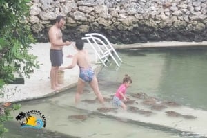 نونجوي السباحة والغطس مع السلاحف في بحيرات زنجبار في زنجبار