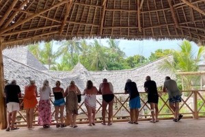 نونجوي السباحة والغطس مع السلاحف في بحيرات زنجبار في زنجبار