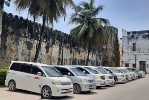 Nungwi: Taxi per l'aeroporto di Zanzibar - Servizio privato 24/7