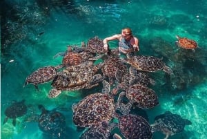 Zanzibar: Baraka Turtle Aquarium Tour with Hotel Transfers
