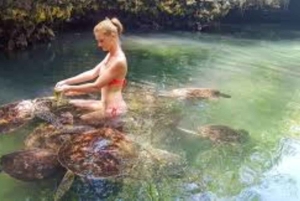 Nungwi: Bezoek aan het schildpaddenreservaat en Dhow Cruise bij zonsondergang