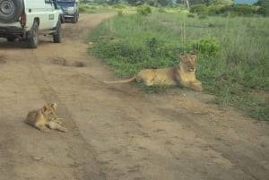 Nyerere National Park 3-dagars safariresa