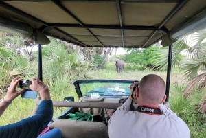 Parque Nacional de Nyerere: 4 días/3 noches de safari y pesca