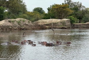 Nyerere National Park 4 Days/3 nights Safari & Fishing