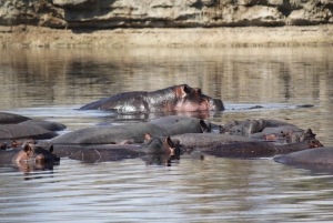 Tour del Parco Nazionale Nyerere