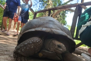 Av Jambiani/Paje: Fängelseön & Nakupenda Sandbank Escape
