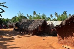 Aventura em quadriciclo off-road com traslado do hotel