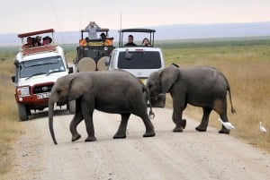 Excursão em grupo de 2 dias a Amboseli em Landcruiser 4x4 Jeep