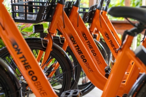 Paje: Heldags sykkelutleie med hjelm og lås