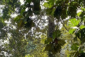 Paje: Private Transfer to Stone Town or Airport