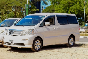 Paje: Privat transport fra Stone Town til Paje