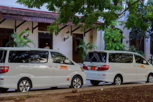 Paje: Private Transfers from Stone Town to Paje