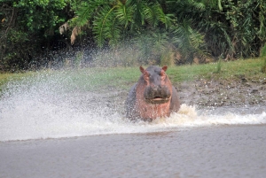Пангани: сафари в национальном парке Саадани с трансфером из отеля