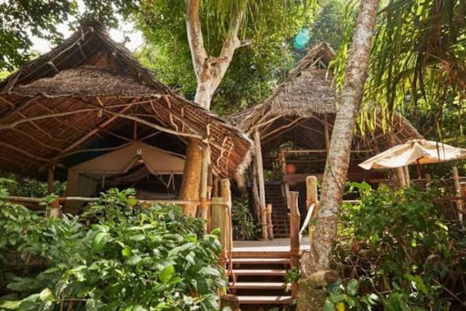 Pemba: Chambani-ruinene og den historiske turen til Mkamandume