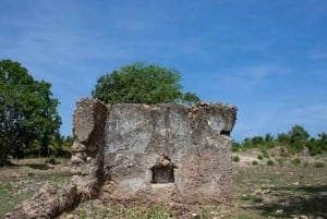 Pemba: Chambani-ruinene og den historiske turen til Mkamandume