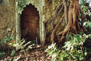 Pemba: Chambani-ruinene og den historiske turen til Mkamandume