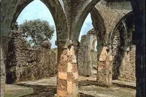 Pemba: Chambani-ruinene og den historiske turen til Mkamandume