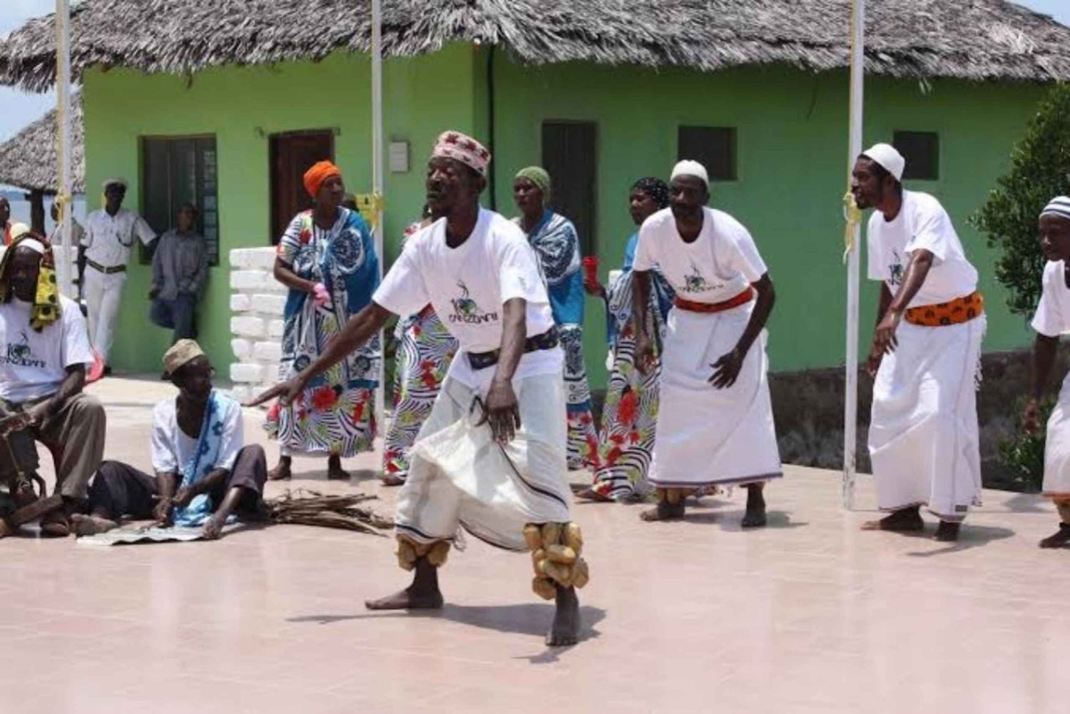 Pemba: Clove Plantation Tour & Swahili Dance Show