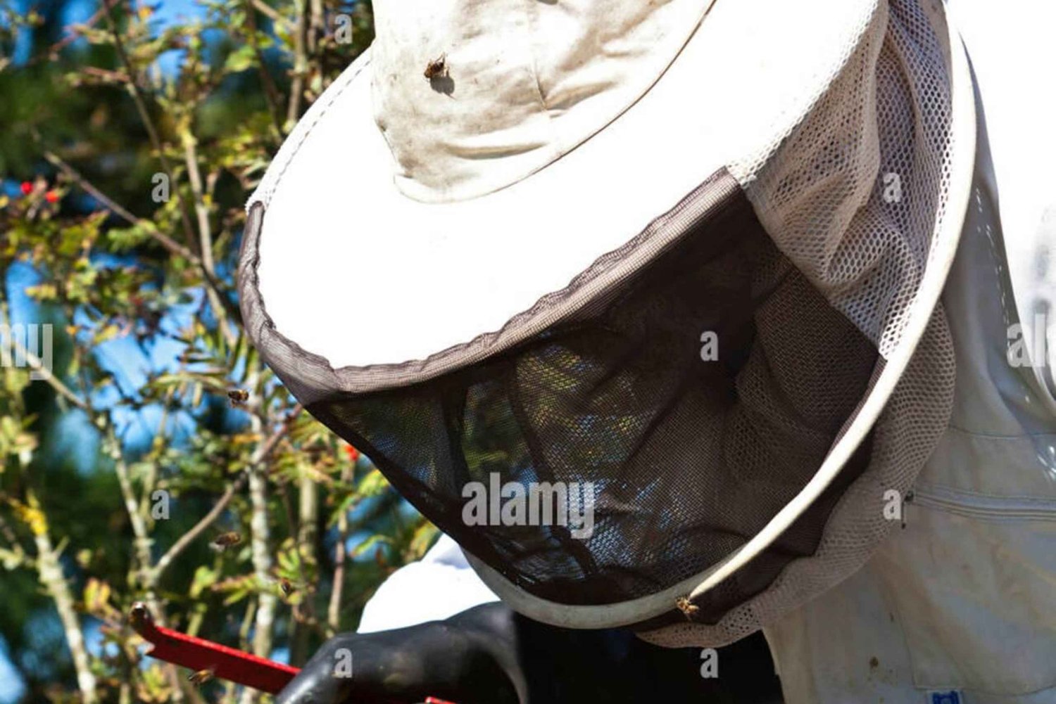 Zanzibar: Mnemba-øya, skilpaddeakvarium og Kendwa-stranden